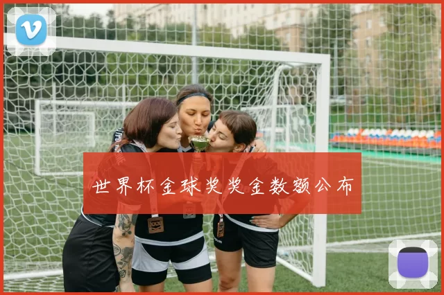 世界杯金球奖奖金数额公布