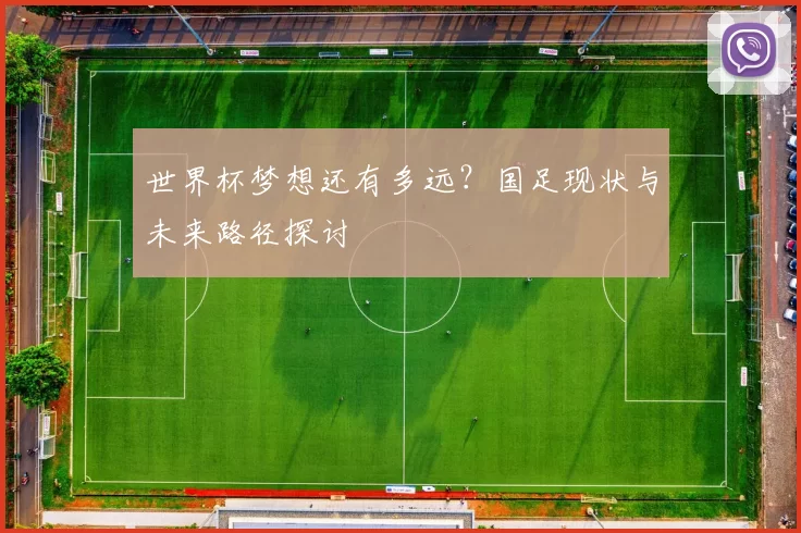 世界杯梦想还有多远？国足现状与未来路径探讨