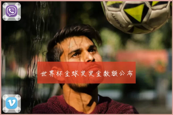 世界杯金球奖奖金数额公布