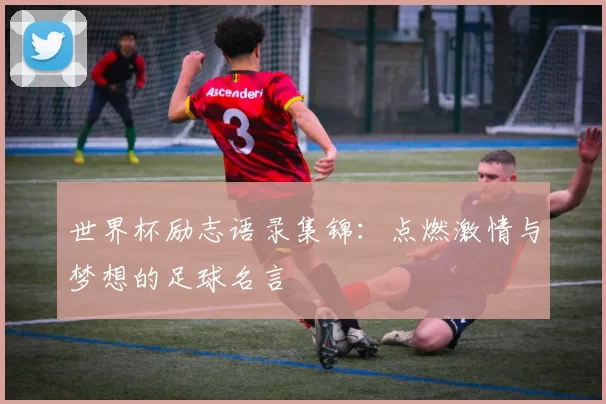世界杯励志语录集锦:点燃激情与梦想的足球名言