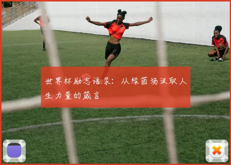 世界杯励志语录:从绿茵场汲取人生力量的箴言