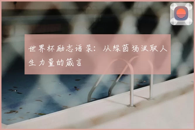 世界杯励志语录:从绿茵场汲取人生力量的箴言