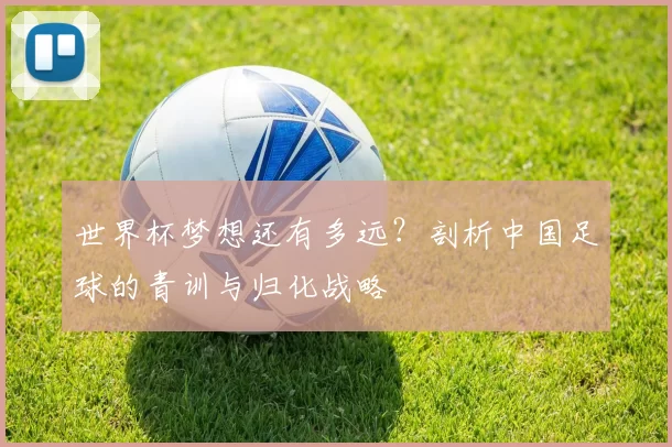 世界杯梦想还有多远?剖析中国足球的青训与归化战略
