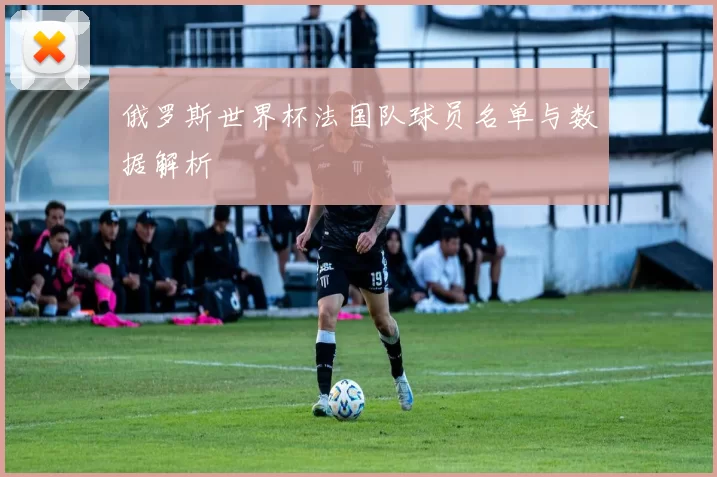 俄罗斯世界杯法国队球员名单与数据解析