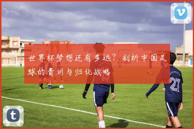 世界杯梦想还有多远?剖析中国足球的青训与归化战略