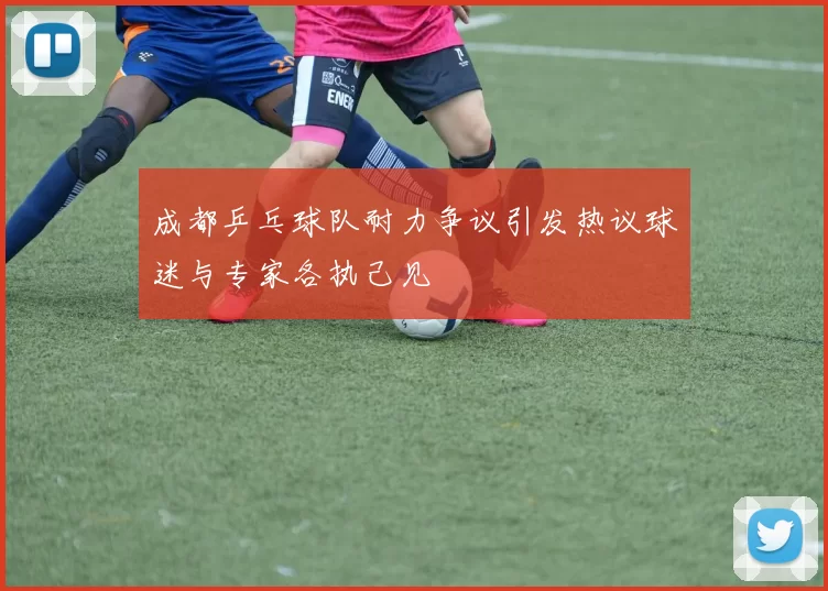 成都乒乓球队耐力争议引发热议球迷与专家各执己见