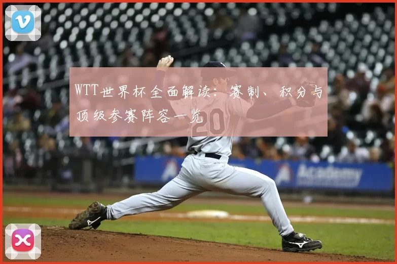 WTT世界杯全面解读：赛制、积分与顶级参赛阵容一览
